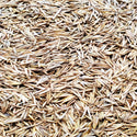 Kirk Crested Wheatgrass - Certified #1, 25Kg