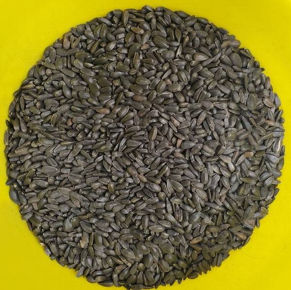 Black Oil Sunflower Seeds - 15Kg (Feed Only)